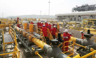 這家閥門公司兩套調壓裝置關鍵閥門成功通過中油管道公司現場工業性試驗驗收