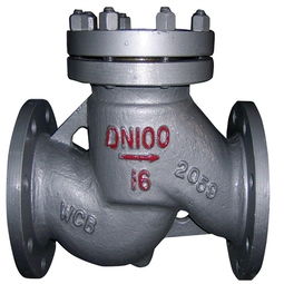 萬眾止回閥：品質(zhì)卓越，守護管道安全